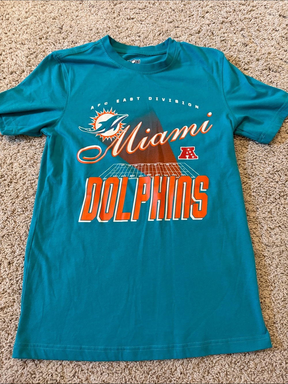 NFL Miami Dolphins Teal Graphic T-Shirt